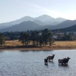 Denver: Rocky Mountain National Park Tour with Picnic Lunch - Final Thoughts: Who Should Consider This Tour?