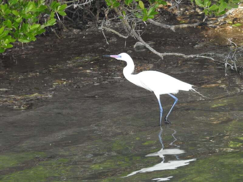 Desde Holbox: SunSea- SUNSET Kayak - What to Expect During the Tour