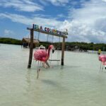 Desde Merida: Isla columpios - Detailed Itinerary Breakdown