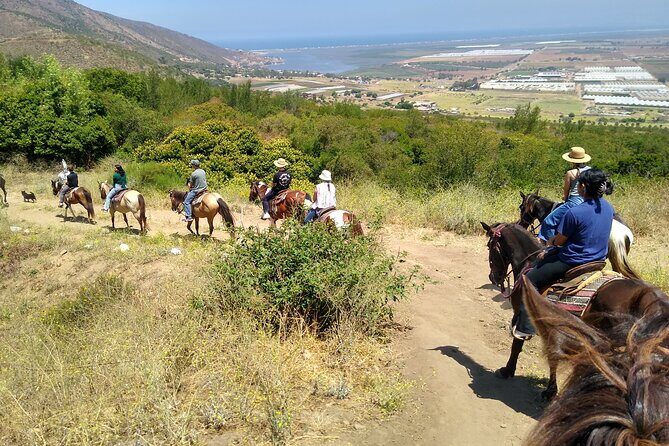 Desert Peaks on Horseback, Exploring Mountain Trails of Ensenada - What Past Travelers Are Saying
