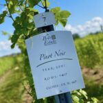 Designated Driver For Wine Tours - Traverse City - How Does the Booking and Pricing Work?