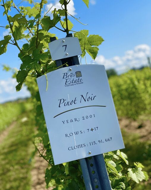 Designated Driver For Wine Tours - Traverse City - How Does the Booking and Pricing Work?