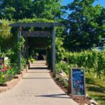 Designated Driver TC - We Drive Your Car - Private TC Wine Tour - The Practicalities: What to Expect