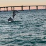 Destin: 90-Minute Boat Ride With Cruise Destin Bay - Final Thoughts