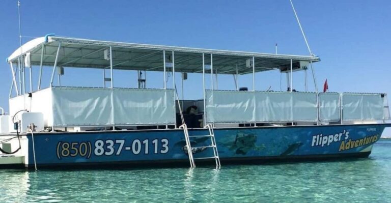 Destin: Crab Island Catamaran Tour with Dolphin Watching - What’s Included and What’s Not