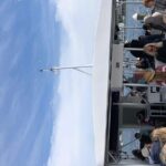 Destin Dolphin Cruise - The Experience in Detail