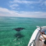 Destin: Private Morning Dolphin Cruise - Who Would Enjoy This Tour?