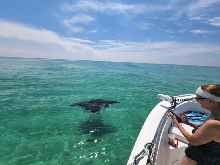 Destin: Private Morning Dolphin Cruise - Who Would Enjoy This Tour?