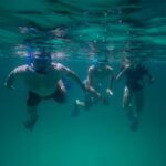 Destin: Reef Snorkeling Adventure - Who This Tour Is Best For