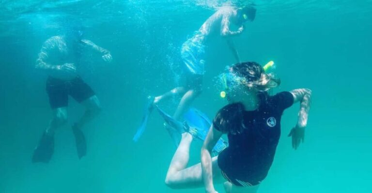 Destin: Snorkeling, Dolphins, and Crab Island - FAQ