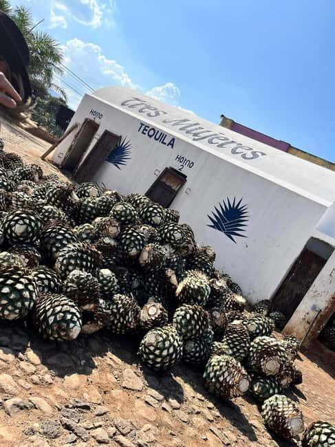 Destino Tequila: Experiencia Premier Privada - The Full Breakdown: What Youll Experience