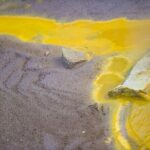 Devil's Bath Experience - Private Tour to Wai-O-Tapu & Lake Taupo - Who Should Consider This Tour?