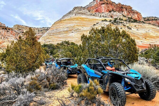 Diana's Throne UTV Adventure Near Zion National Park - What to Expect During the Tour