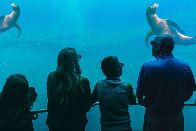 Digital Ocean Adventure in Sevierville - The Itinerary Breakdown: What to Expect