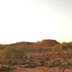 Dinosaur Stampede Half Day Tour - Dino Dash - The Value of the Tour