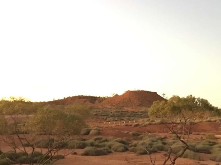 Dinosaur Stampede Half Day Tour - Dino Dash - The Value of the Tour