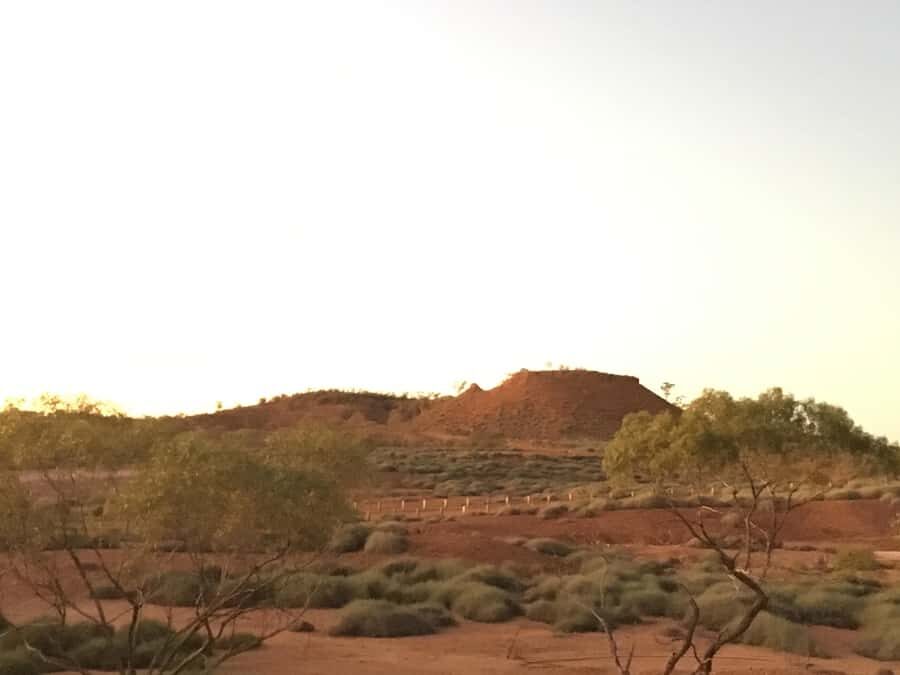 Dinosaur Stampede Half Day Tour - Dino Dash - The Value of the Tour