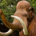 Dinosaur World Cave City - A closer look at Dinosaur World Cave City