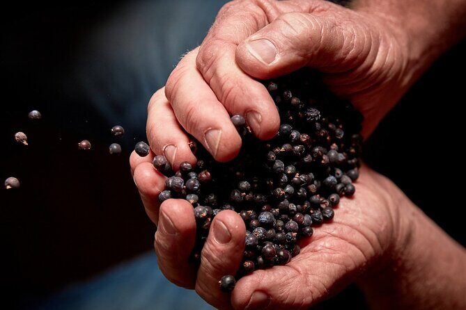 Discover Bellarine Wine, Cider and Craft Beer with Private Bus - The Value of the Tour