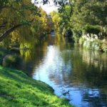 Discover Christchurch Sightseeing Tour - Final Thoughts