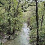 Discover Estanzuela Natural Park - Authentic Traveler Perspective