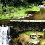 Discover Hiking Trails and a Convent in Desierto de los Leones - Authentic Traveler Insights