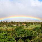 Discover Lahaina: Self-Guided Audio Tour - What’s Included and What’s Not