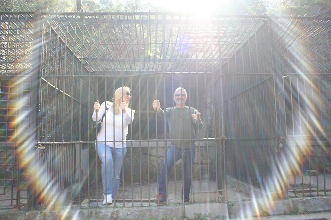 Discover Los Angeles by Mini-Car - The Old LA Zoo: A Highlight for History Buffs and Photo Fans