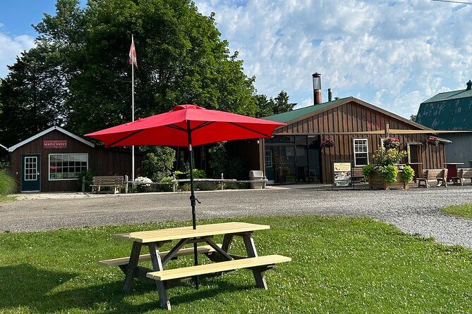 Discover Maple Sugar Bush Tour - The Value of the Experience