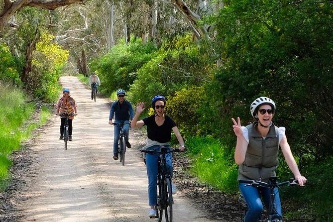 Discover McLaren Vale on eBikes - Full Day - Why You’ll Love the McLaren Vale E-Bike Tour