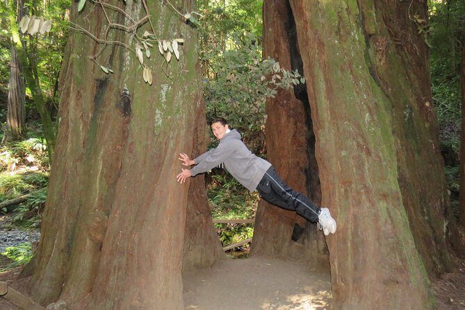 Discover Point Reyes National Seashore & Muir Woods Redwoods - FAQ