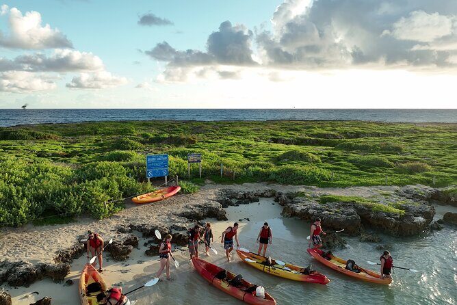 Discover Popoia Island and Kailua Bay by Kayak Guided Tour - An In-Depth Look at the Kayak and Island Experience