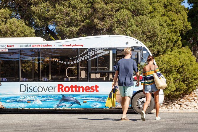Discover Rottnest with Ferry & Bus Tour - In-Depth Breakdown of the Itinerary