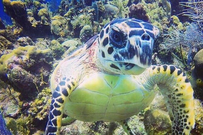 Discover Scuba Diving - The Itinerary: What to Expect