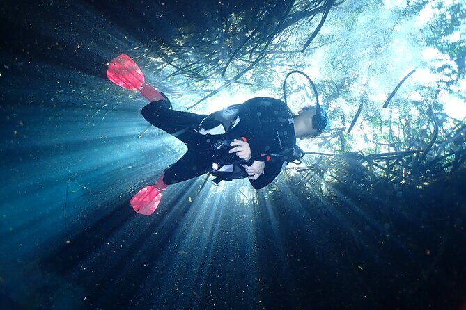 Discover Scuba Diving at Casa Cenote No Certification Needed - The Setting: Casa Cenote
