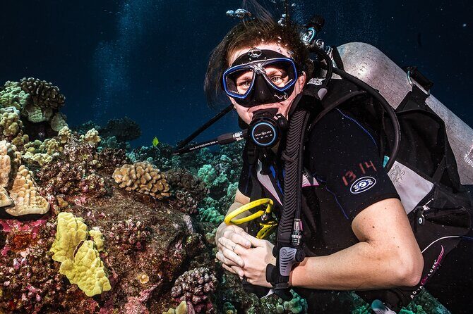 Discover Scuba Diving Class from Lahaina - Price and Value: Does It Make Sense?