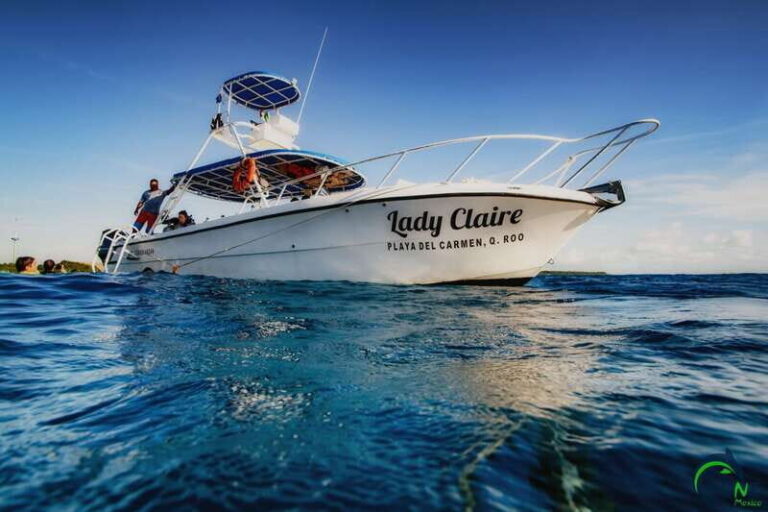 Discover Scuba Diving in Playa del Carmen - 2 dives - Setting the Scene: What to Expect from the Tour