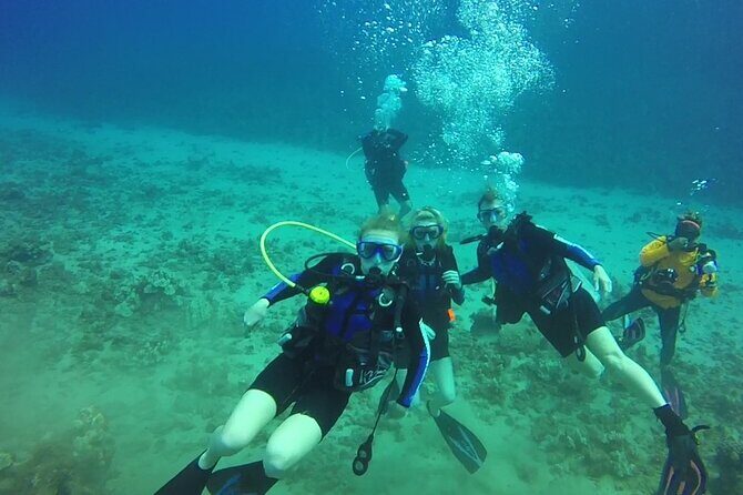 Discover Scuba Diving in Waikiki - Is This Tour Worth the Price?