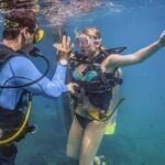 Discover Scuba experience at Las Caletas, Puerto Vallarta - The Experience Itself: Pros and Cons