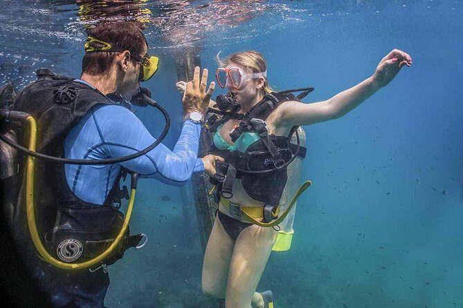 Discover Scuba experience at Las Caletas, Puerto Vallarta - The Experience Itself: Pros and Cons