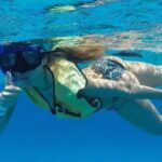 Discover starfish, swim and snorkel at El Cielo Cozumel Reef - The Itinerary: What to Expect Step-by-Step