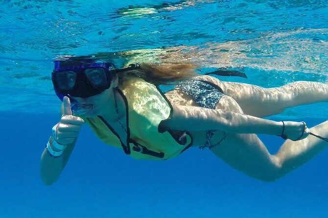 Discover starfish, swim and snorkel at El Cielo Cozumel Reef - The Itinerary: What to Expect Step-by-Step