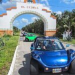 Discover the Best Buggy Adventure in Cozumel from Riviera Maya - Practical Details: What to Expect