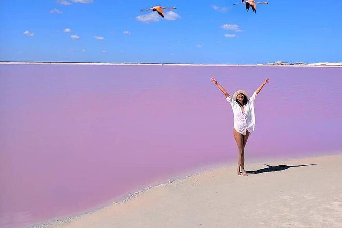 Discover the FABULOUS PINK WATERS in the Caribean - Who Should Consider This Tour?