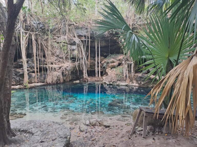 Discover the Serenity: A Tour of the Hidden Cenotes (PVT) - The Itinerary Breakdown