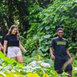 Discovery Bush Walk from Port Vila - Who Should Consider This Tour?