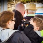 Discovery Dolphin Boat Tour - The Itinerary in Detail