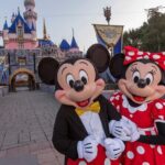 Disney and Universal Private Luxury Transfer - Details That Matter