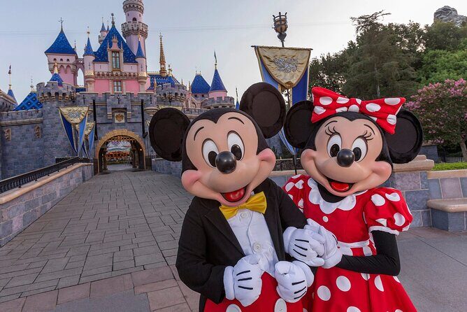 Disney and Universal Private Luxury Transfer - Details That Matter