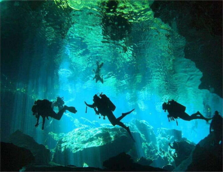 Dive Cenote - The Deep Details: Full Breakdown of the Experience